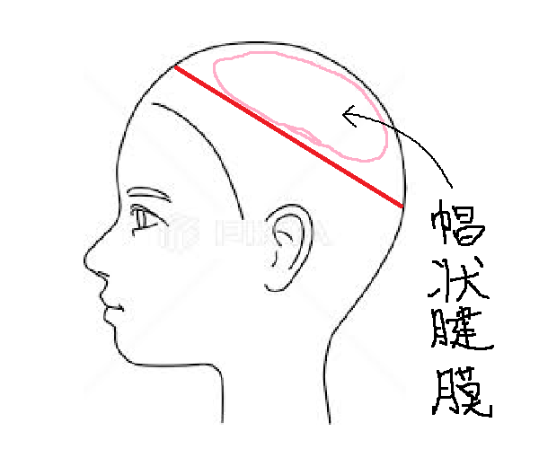 前髪の生え際のくせが強くなってきた方へ 美容師は教えてくれない３つの解決策 座間 相模原 クセ毛美容師石川のブログ