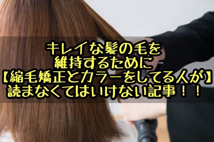 キレイな髪の毛を維持するために 縮毛矯正とカラーをしている人が 読まなくてはいけない記事 座間 相模原 クセ毛美容師石川のブログ