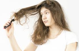 お風呂上りの絡まった髪の毛をとかす方法 座間 相模原 クセ毛美容師 イシカワのブログ