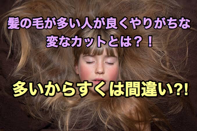 髪の毛が多い人がやりがちな変なカットとは 座間 相模原 クセ毛美容師石川のブログ