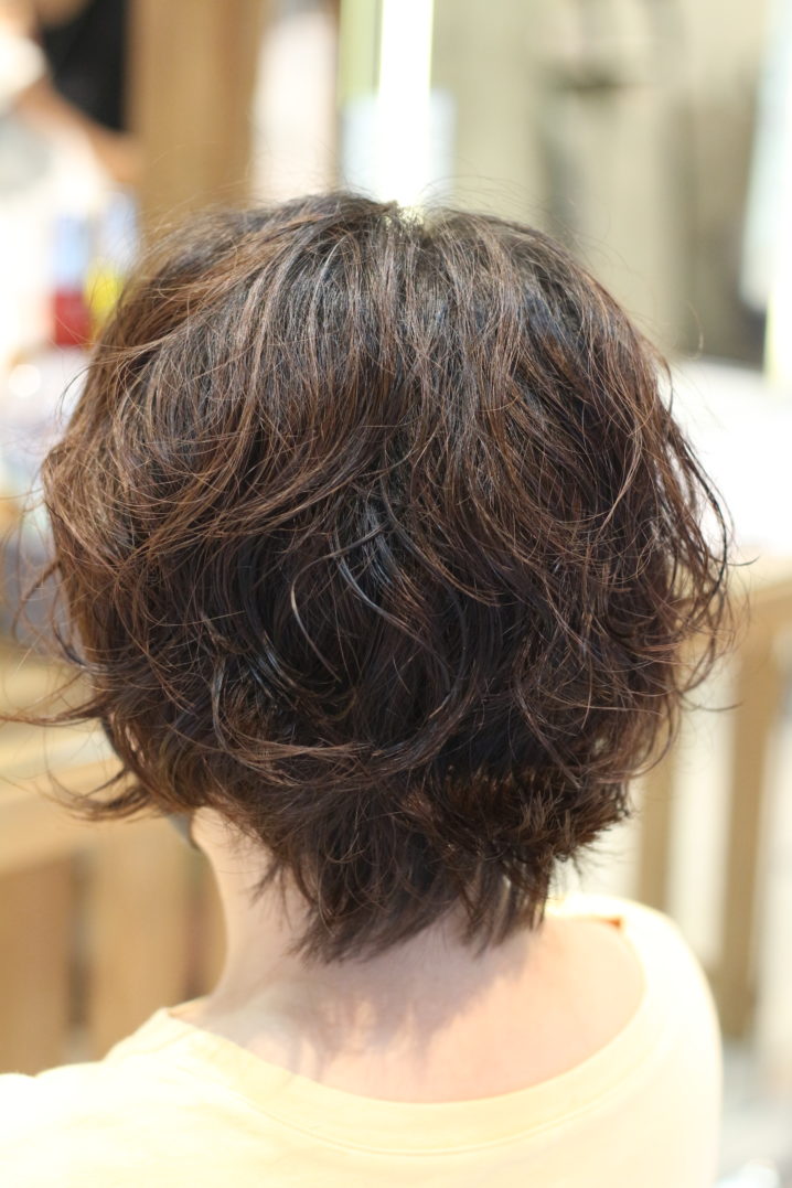 多毛がショートのパーマして爆発しないために知っておいたほうがいい１つのこと 座間 相模原 クセ毛美容師石川のブログ