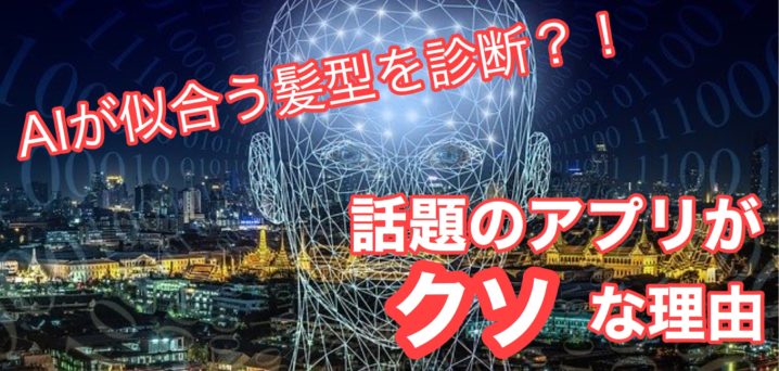 話題のアプリで似合う髪型診断 がクソな理由 座間 相模原 クセ毛美容師石川のブログ